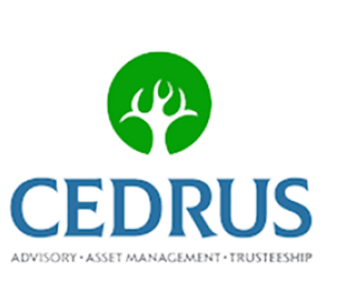 Cerdus company logo